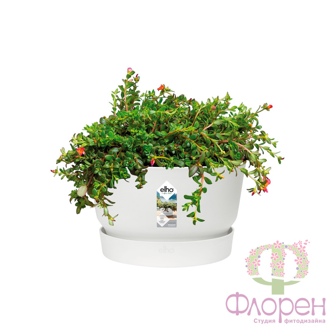 Горщик ELHO Greenville Bowl фото 1