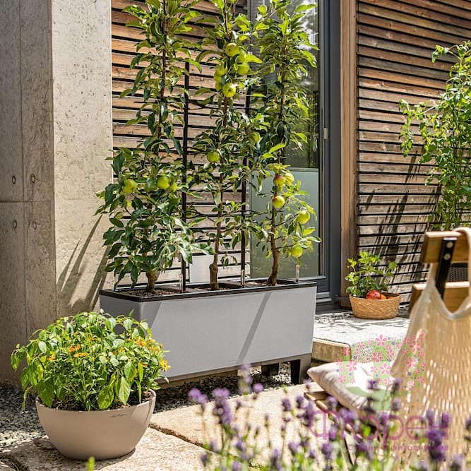 Lechuza Balconera 30 TRIO Stone фото 2