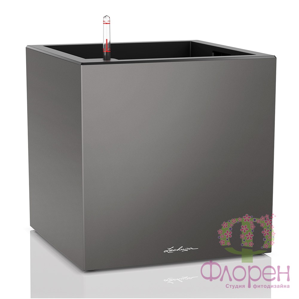  Lechuza Canto Premium low