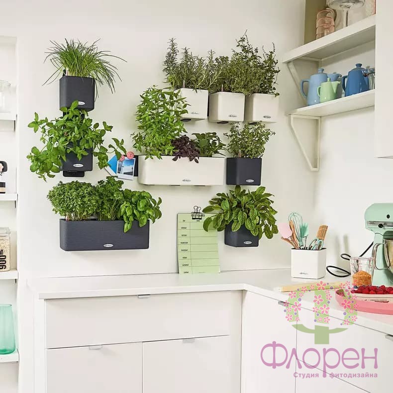 Lechuza Green Wall Home Kit Color Puro фото 3