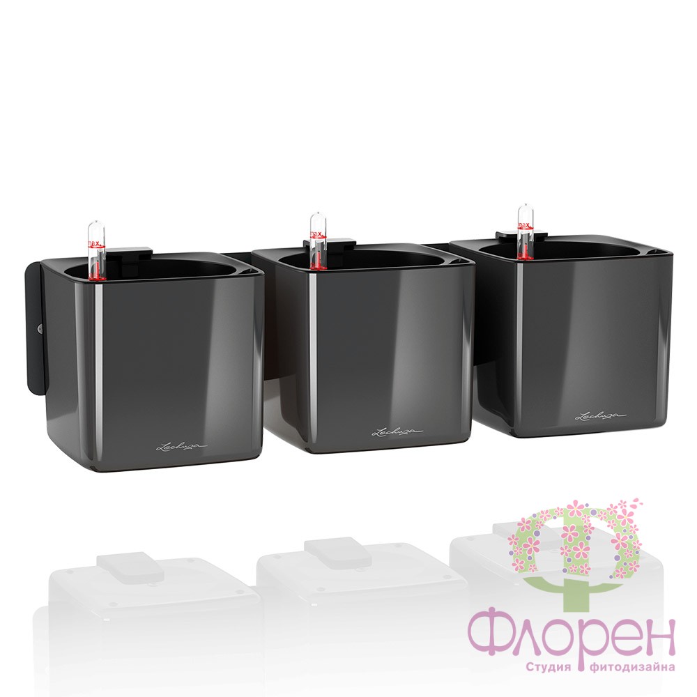  Lechuza Green Wall Home Kit Glossy Premium