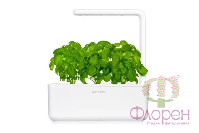 Змінний картридж Click & Grow Базилік фото 2