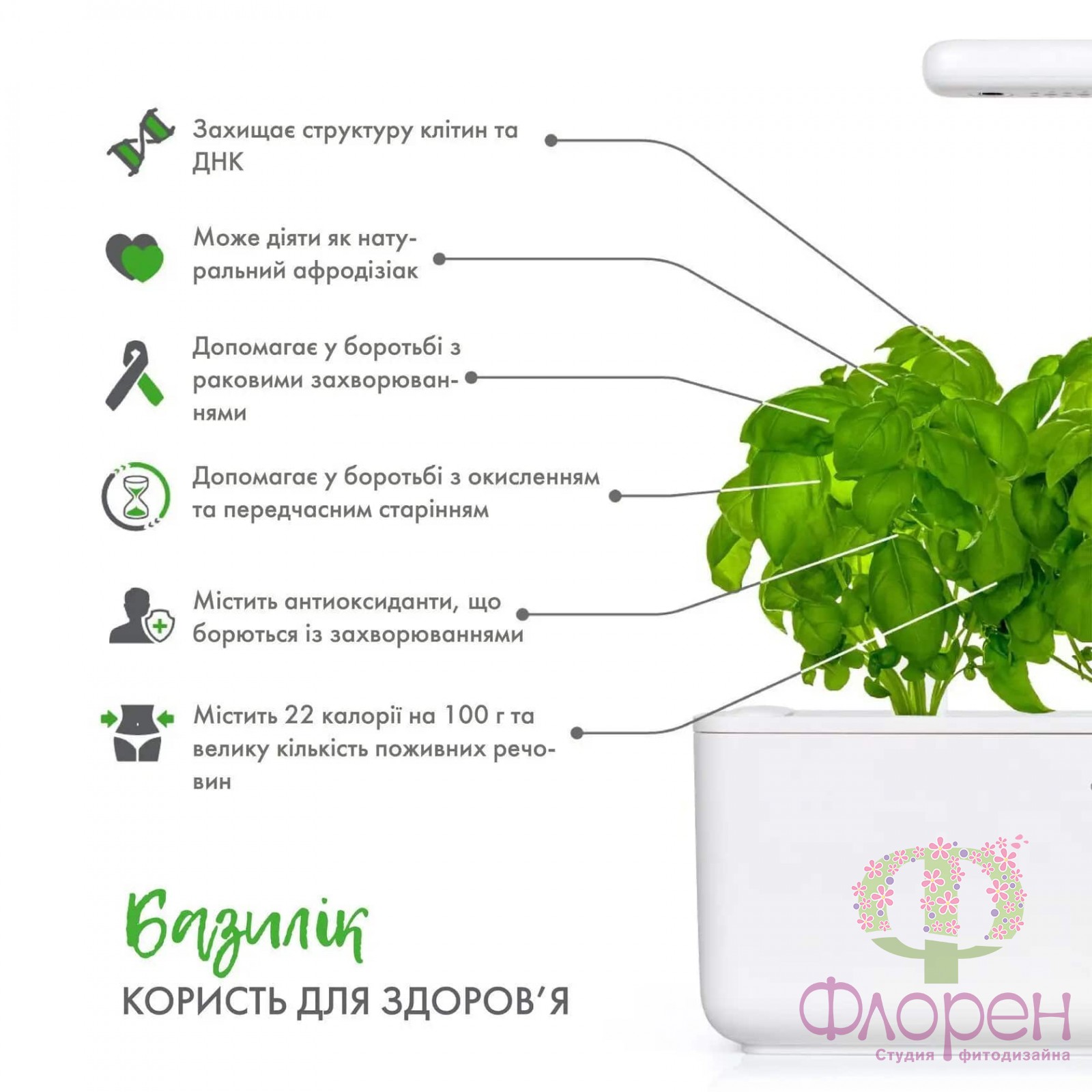 Змінний картридж Click & Grow Базилік фото 3