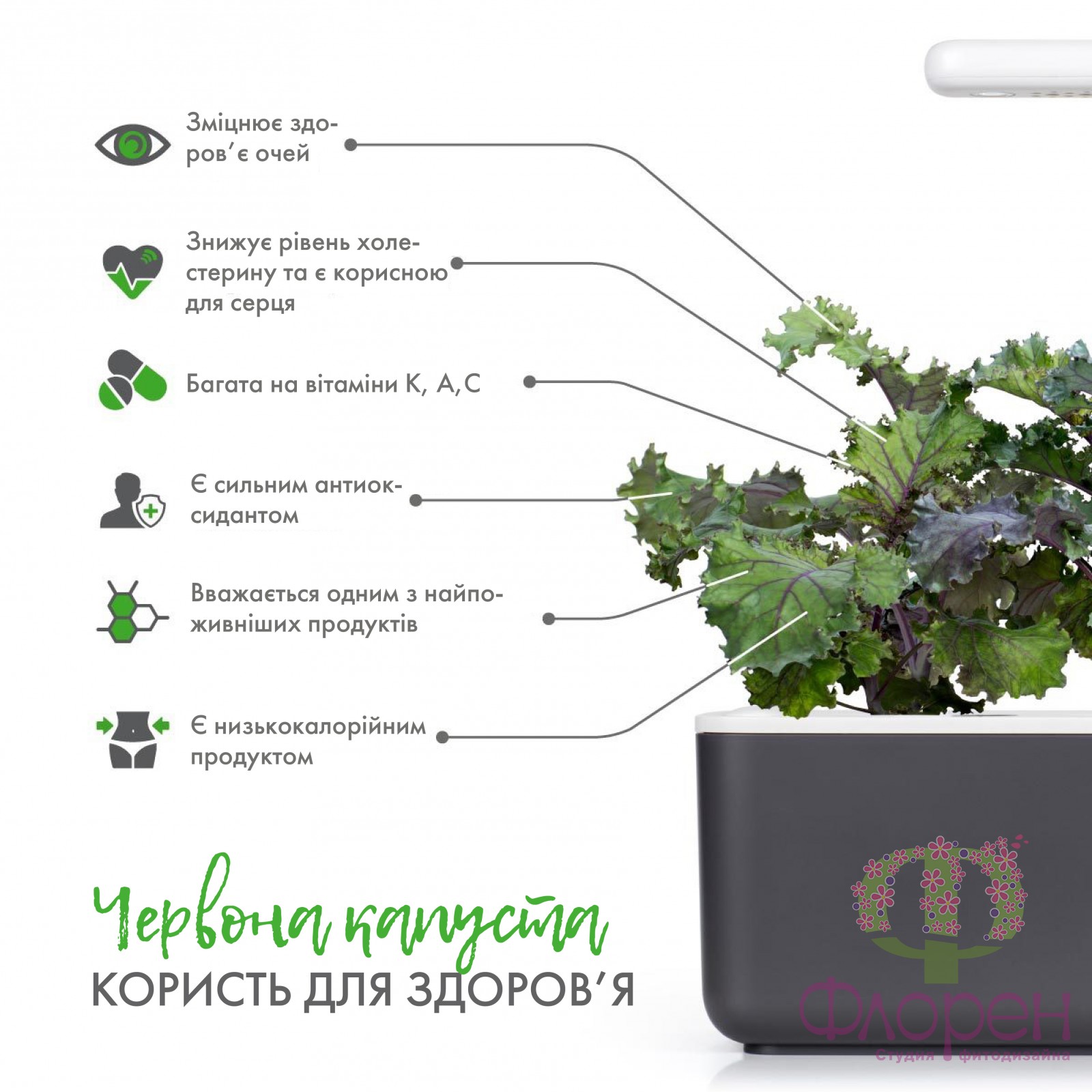 Сменный картридж Click&Grow Красная Капуста фото 4