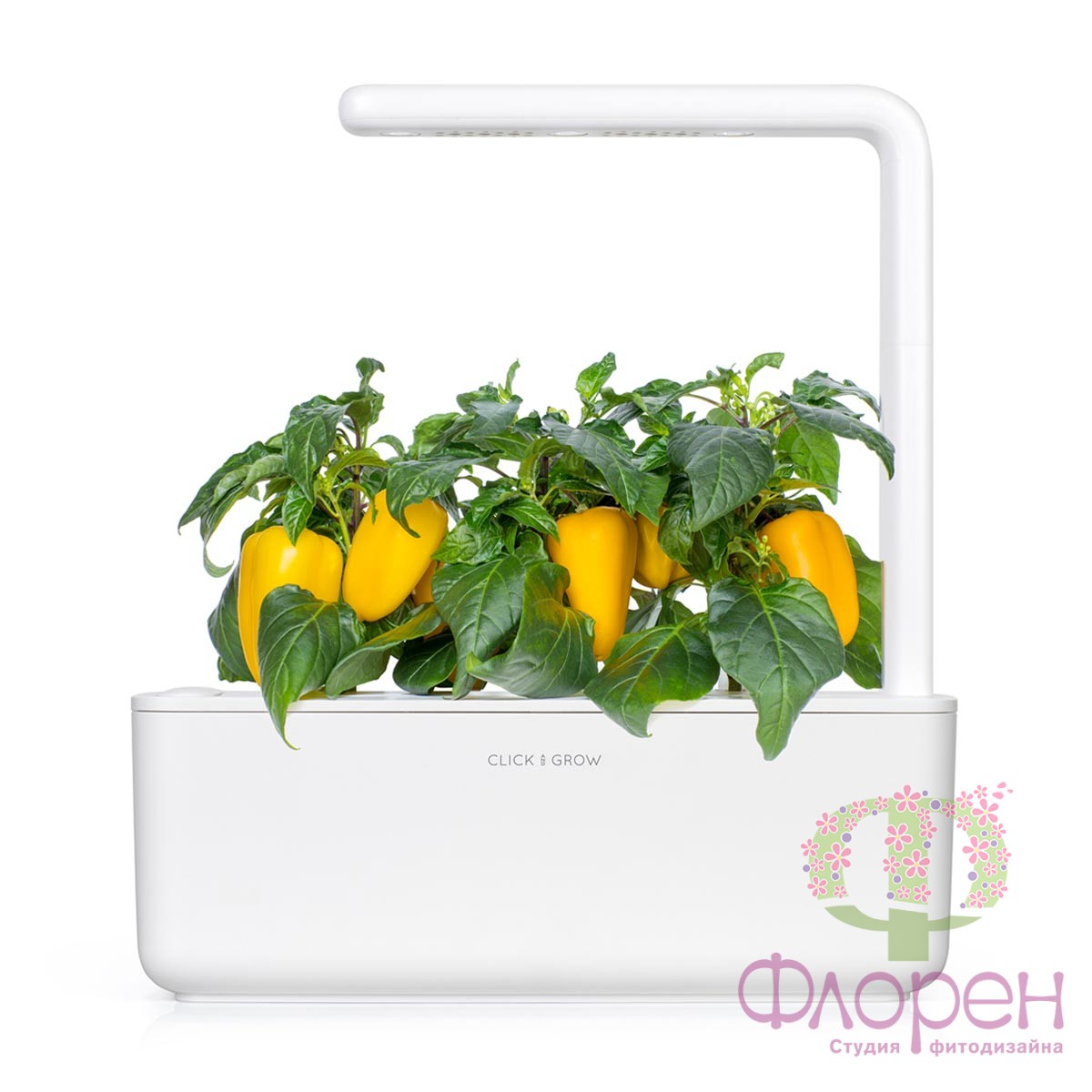 Змінний картридж Click & Grow Жовтий солодкий перець фото 2