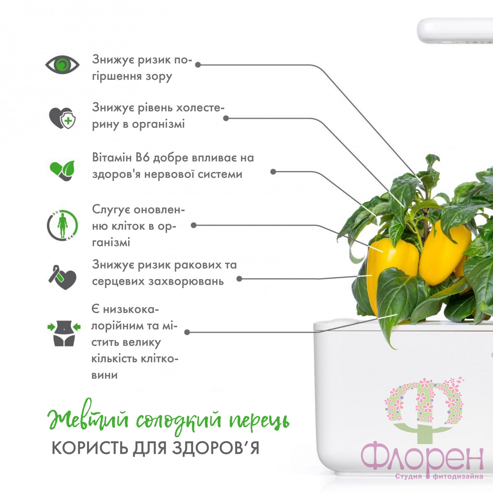 Змінний картридж Click & Grow Жовтий солодкий перець фото 3