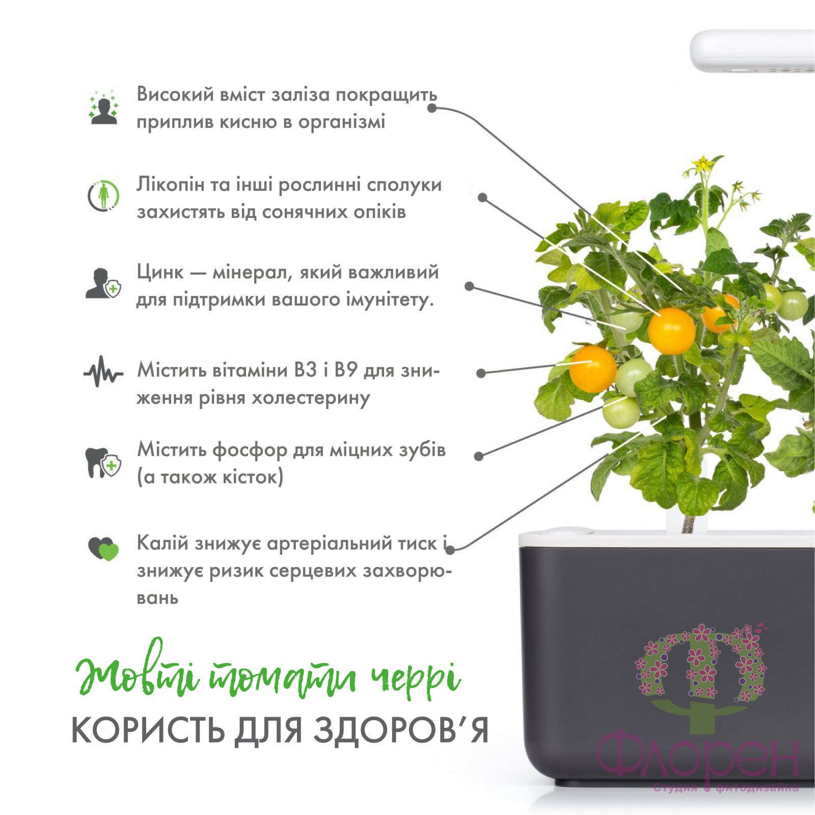Змінний картридж Click & Grow Жовтий томат фото 1